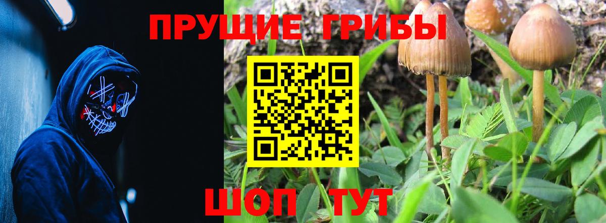 Сафоново  Галлюциногенные грибы мухоморы  Вход с VPN  купить закладку  Псилоцибиновые грибы Psilocybine cubensis 