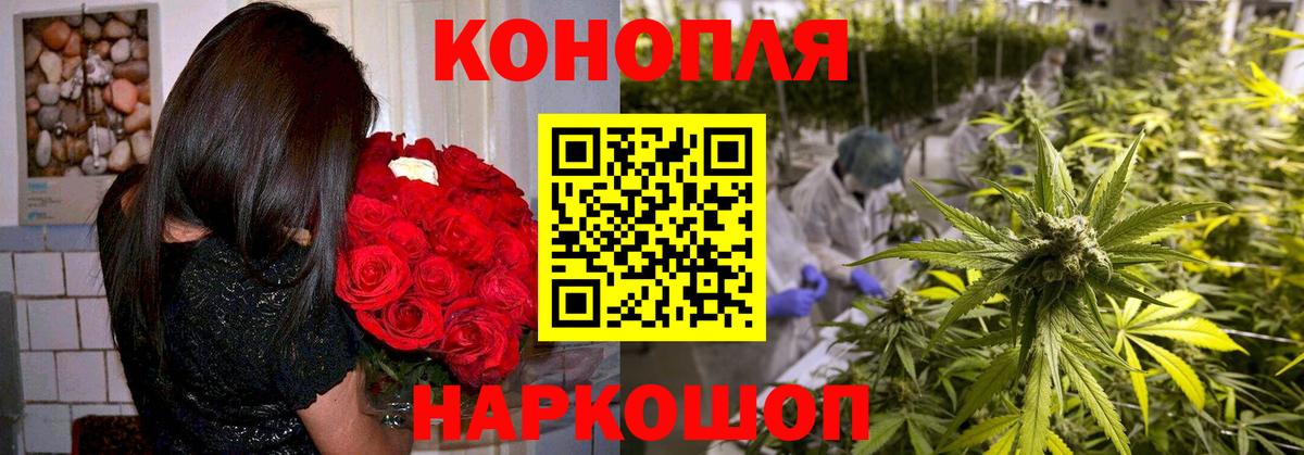 Бошки марихуана ГИДРОПОН Сафоново